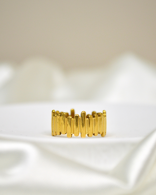 Anillo Trama